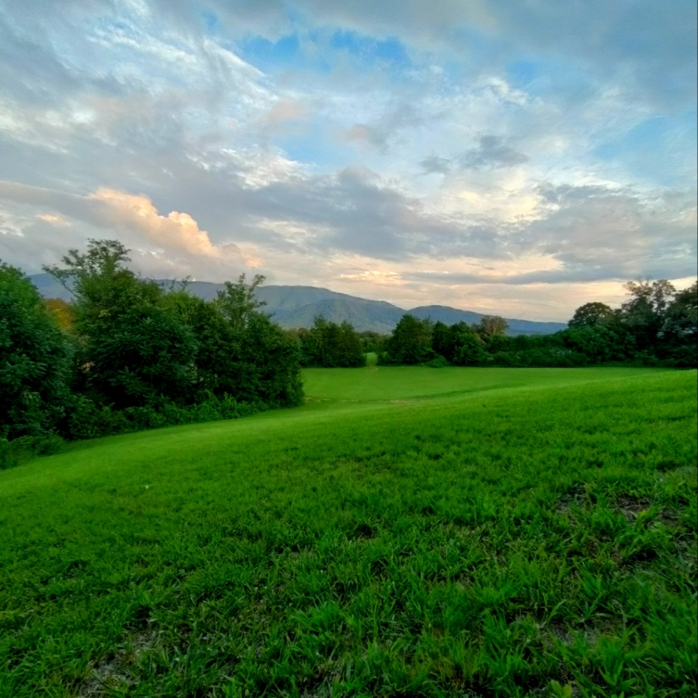 Meet your Posher, Mimi